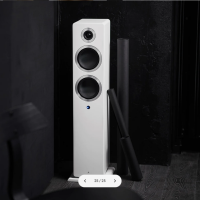 ARGON AUDIO FORTE A55 MKII WHITE 7