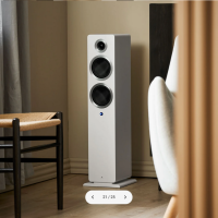 ARGON AUDIO FORTE A55 MKII WHITE 4